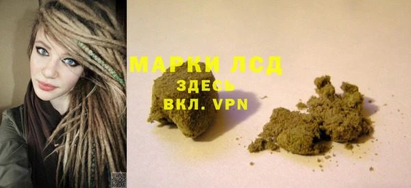 ГАЛЛЮЦИНОГЕННЫЕ ГРИБЫ Белокуриха