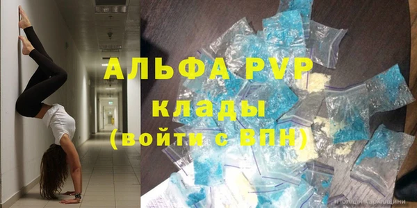 ГАЛЛЮЦИНОГЕННЫЕ ГРИБЫ Белокуриха
